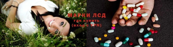 ПСИЛОЦИБИНОВЫЕ ГРИБЫ Зерноград