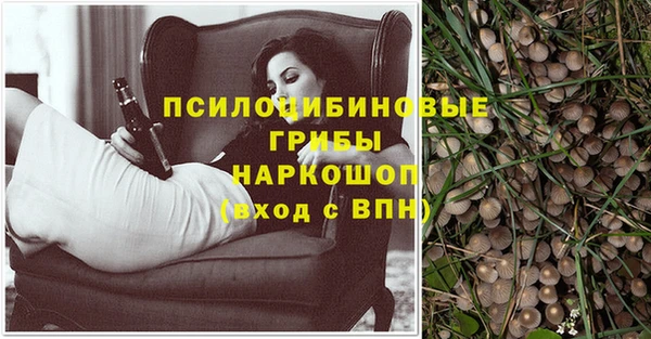 ПСИЛОЦИБИНОВЫЕ ГРИБЫ Зерноград
