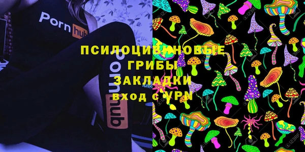 ПСИЛОЦИБИНОВЫЕ ГРИБЫ Зерноград