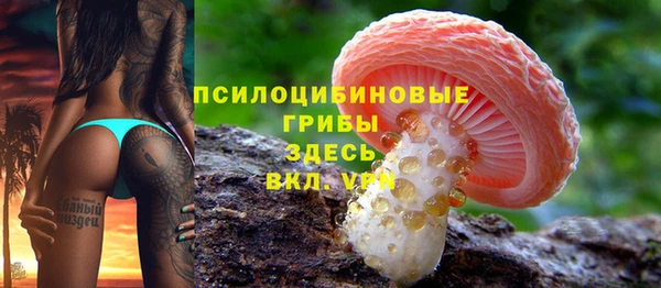 бошки Зеленокумск