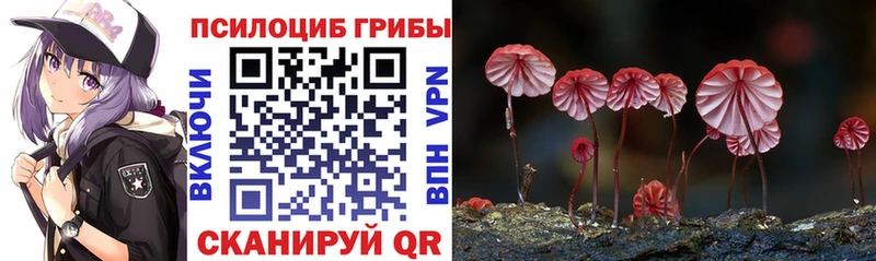 Псилоцибиновые грибы ЛСД  Купить закладки  Мелеуз 